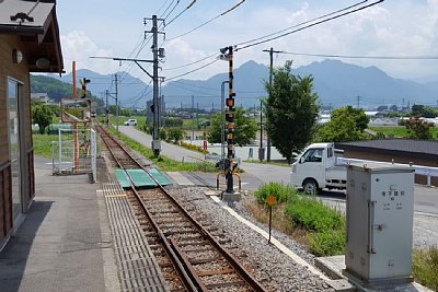 �z�[���̂������΂ɓ��؂�����܂�