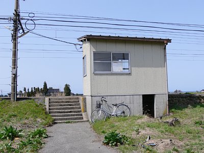 �z�������w