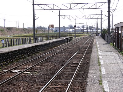 �����Éw�z�[��