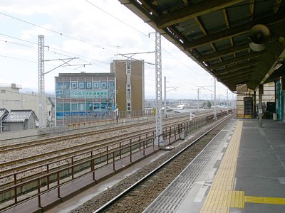 �k���{�����������Ă��܂�