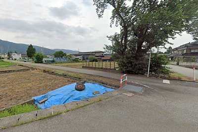 ���̖؂�����ꏊ���w�Ղł�