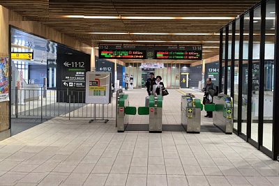 �V�������D��