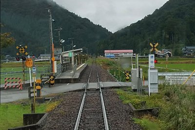 ���P���w