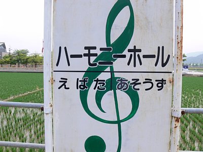 �w���W���g���L��