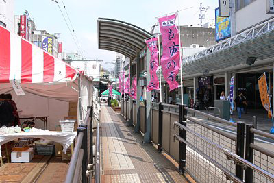 ������w�O�w