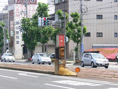 �������w