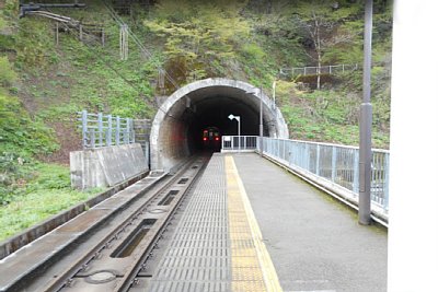 �ق��ق��哇�w�ɊԂ��Ȃ�����