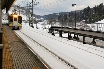 ����吙�w�ɊԂ��Ȃ�����