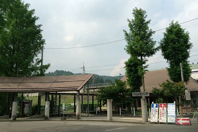 ���炪���w