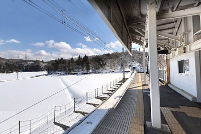 �P���z�[���͂�����������