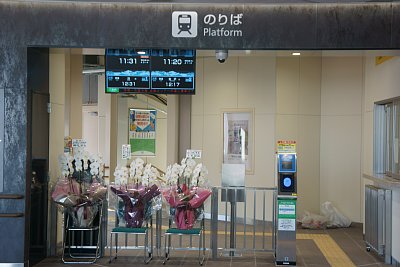 �Γ��w���D