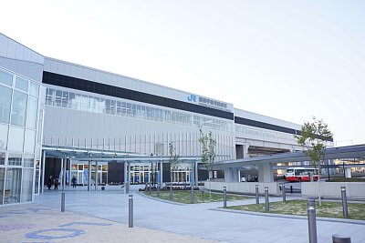 �����F�ތ�����w