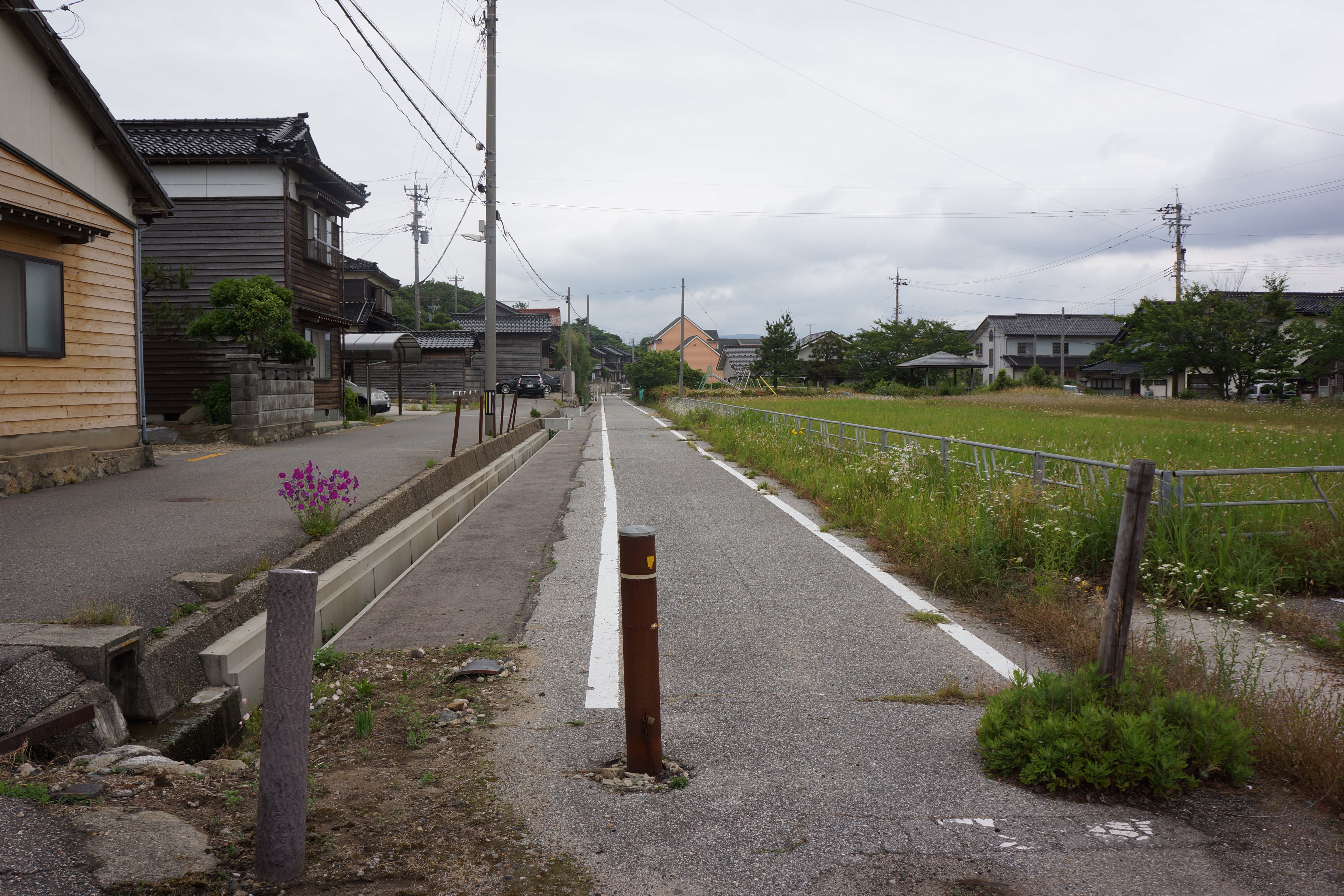 ���̕ӂ肪��w�Ղł�