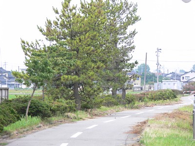 �ŏo�w�Օt�߂���x���w���ʂ�����