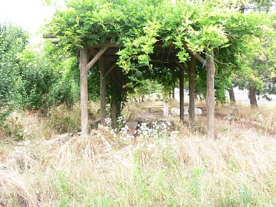 �x�e���Ȃ̂ł����E�E�E