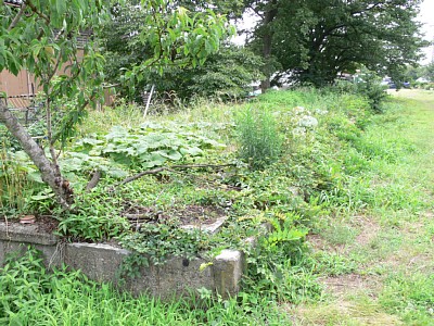 �z�[���Ղ͑��ڂ��ڂ��ł�