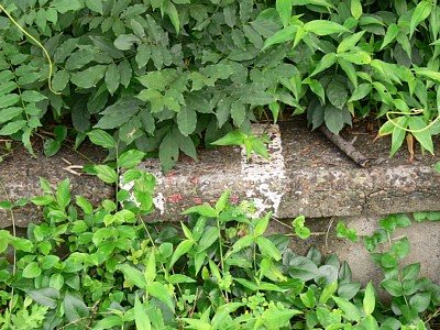 �z�[���ɏ�Ԉʒu�������󂪂���܂���