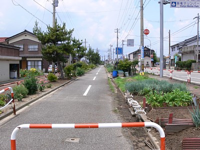 �˖k���w�Z�O�w��