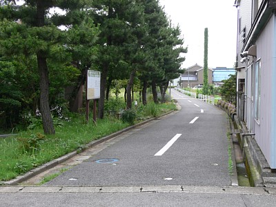 �V�`�����w�Օt��