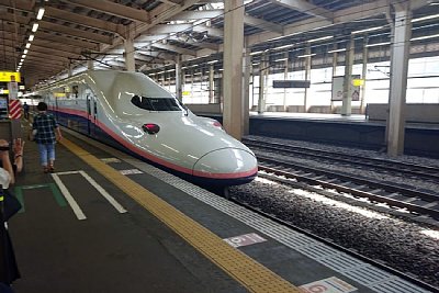 �V�����z�[��