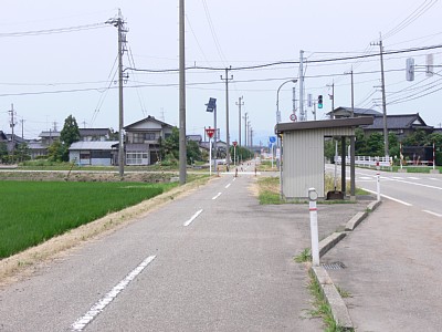 �����̓d���͂ǂ����Ă����H���΂ɗ����Ă�����̂ł�