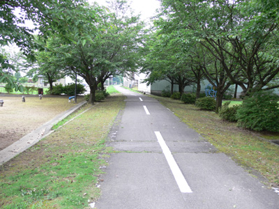 �w�Վ��ӂ͌����ɂȂ��Ă��܂���