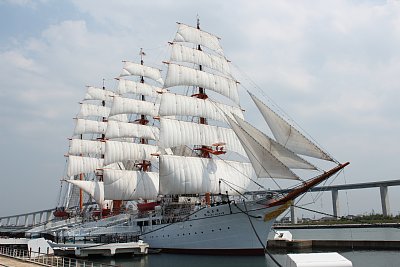 海王丸の総帆展帆