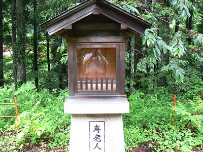 ���Ă͎��V�l���Ղ��Ă������̂ł����E�E�E