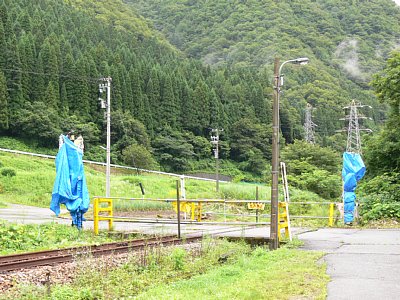 ���؂͑f�ʂ�ł�