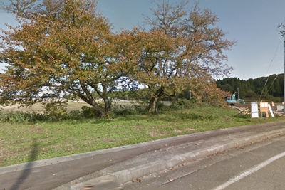 �L��V�򎛉w��