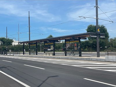 �����̐X�����O�◯��