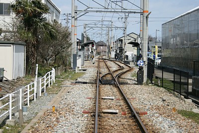 �����w���i