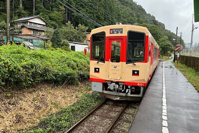 �i�K��600�`�C����