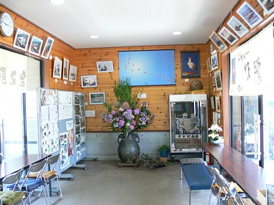 �M�������[���