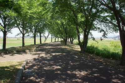 ���J�Ύq�w��