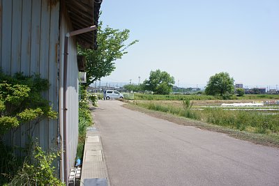 �{�������