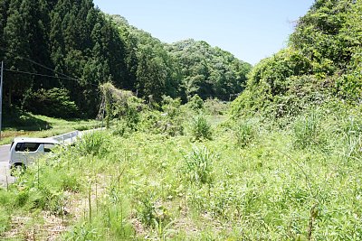 �����͐��H�͂����ɂ������̂ł���