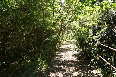 ���g�w�z�[��