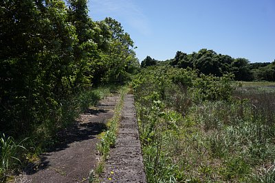 �O�g�w�z�[��