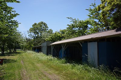 �g�C���ƕ��u�͉c�_�g�����g�p���Ă��܂�