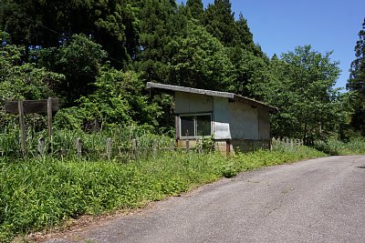 ���g�w�́A�W���̂͂���ɂ���܂�