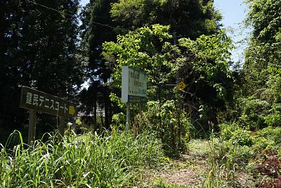 ���ɂ̓g���l����