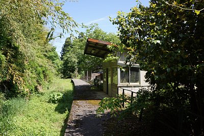 �z�[�����J�[�u���Ă��܂�