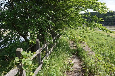 �H�Ղ͔��ɂȂ��Ă��܂�