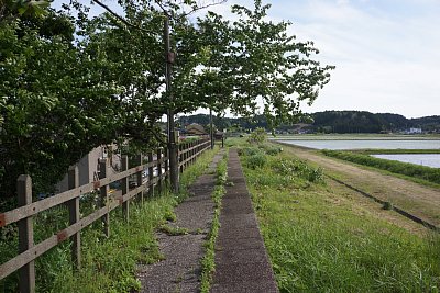 �z�[���͐�������Ă���悤�ł�