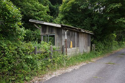 �ÌN�w�ҍ���