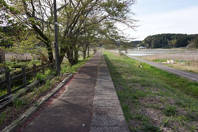 �z�[���͂��Ȃ�̒���������܂�