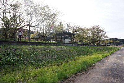 �����w�S�i