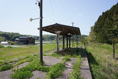 �����z�[�������Ȃ蒷���̂ł�