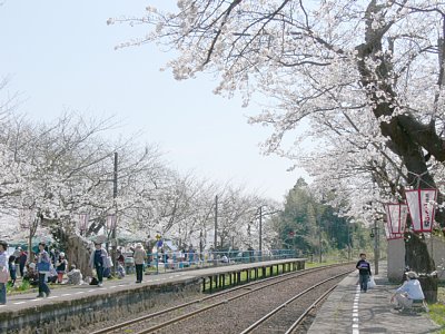 ���͔̂\�o������w